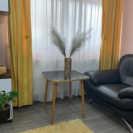 Garsoniera Madalina Apartment Sibiu Ngoại thất bức ảnh