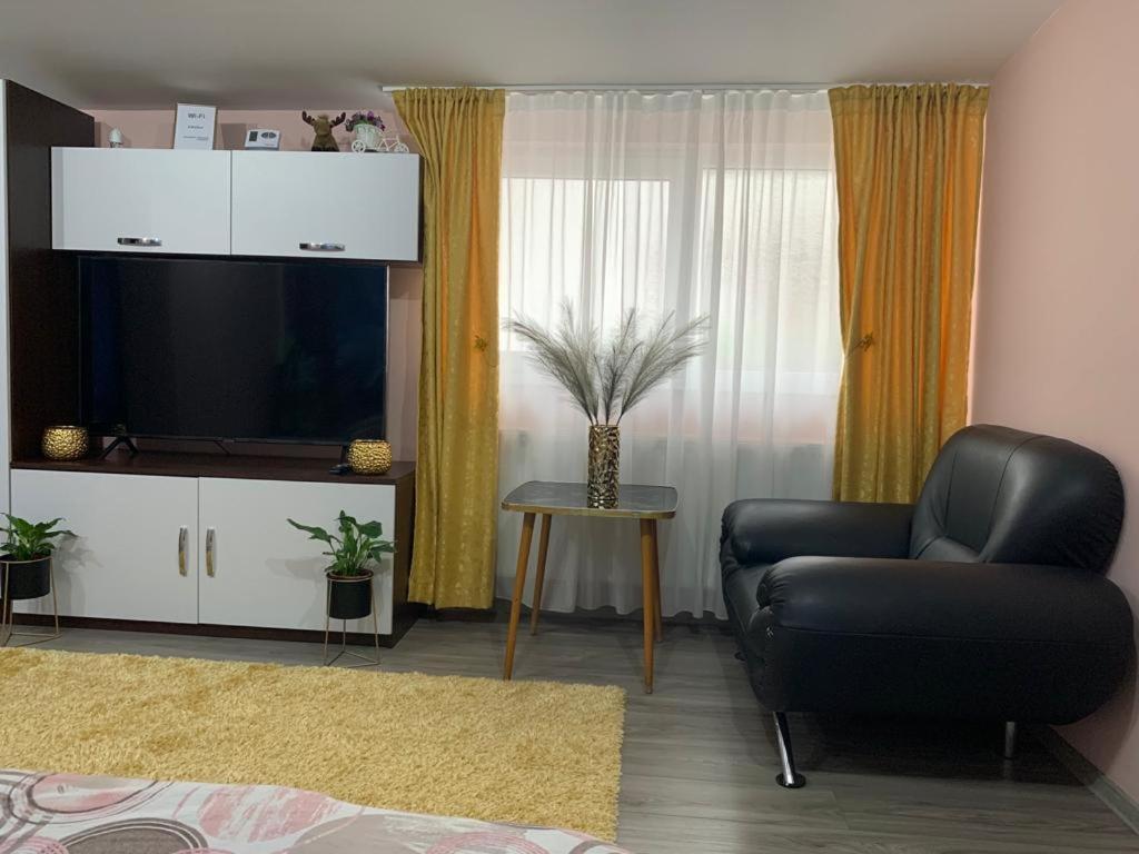 Garsoniera Madalina Apartment Sibiu Ngoại thất bức ảnh