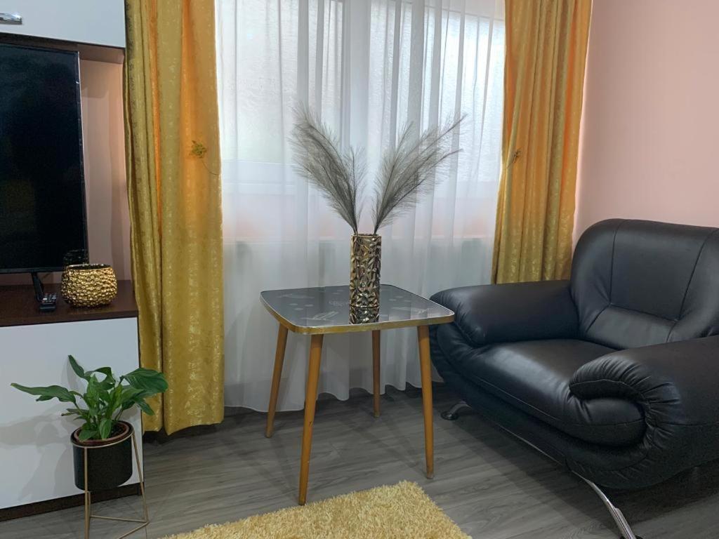 Garsoniera Madalina Apartment Sibiu Ngoại thất bức ảnh