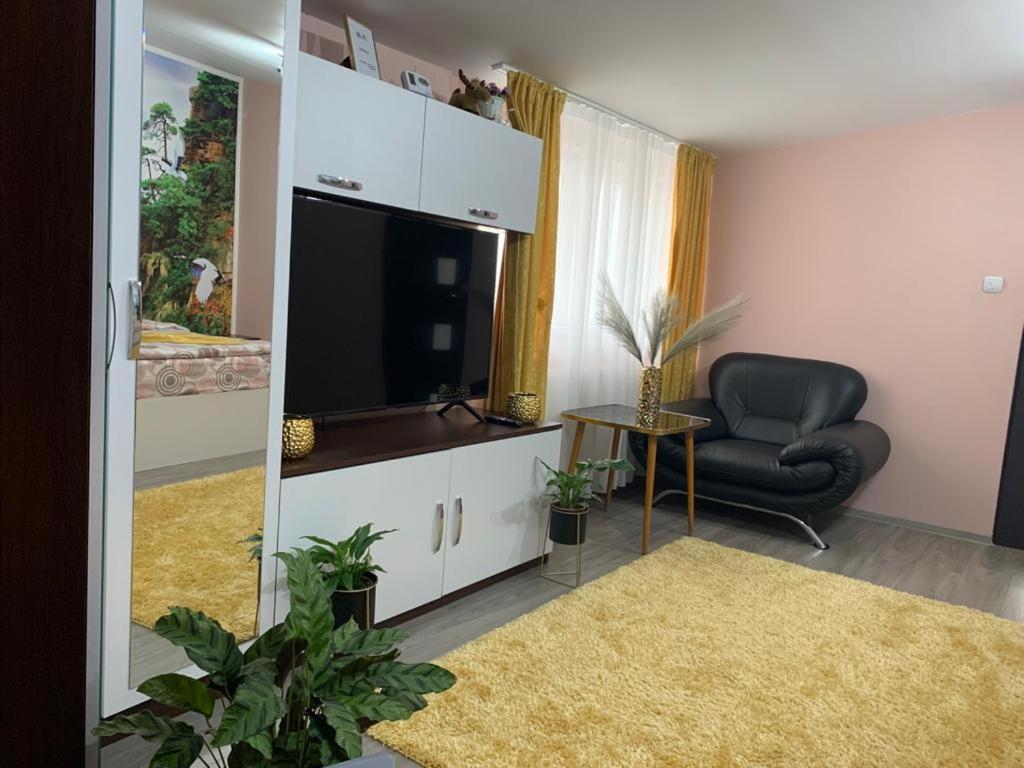 Garsoniera Madalina Apartment Sibiu Ngoại thất bức ảnh