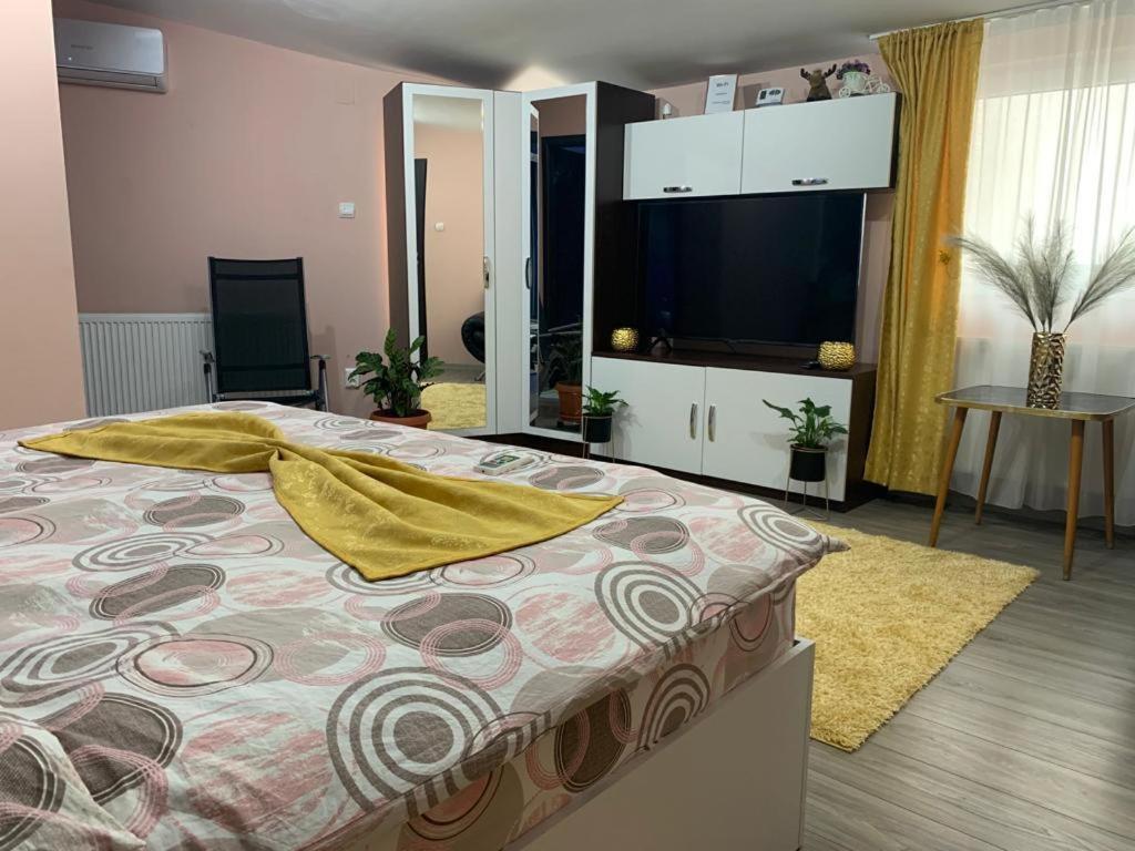 Garsoniera Madalina Apartment Sibiu Ngoại thất bức ảnh