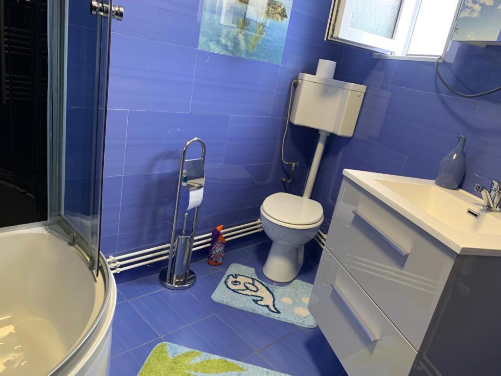 Garsoniera Madalina Apartment Sibiu Ngoại thất bức ảnh
